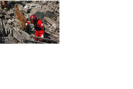 Fuerte r&eacute;plica sacude a Pisco, el Per&uacute; vive pesadilla por muertos y damnificados